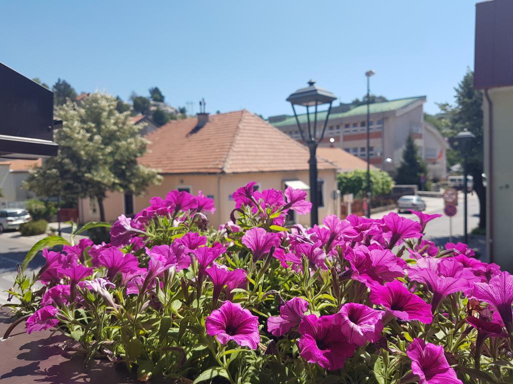 Benvenuti Apartments Cetinje Extérieur photo